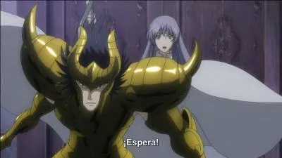 Qui est le chevalier d'or du Capricorne ?