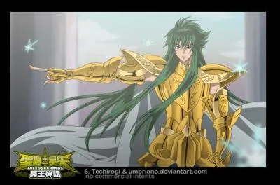 Qui est le chevalier d'or du Verseau ?