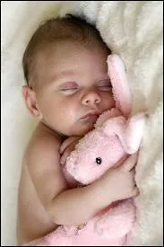 Ce sera une fille ou un garon ?