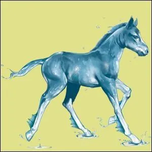 Quel est ce poulain ?