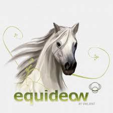 Quiz Equideow