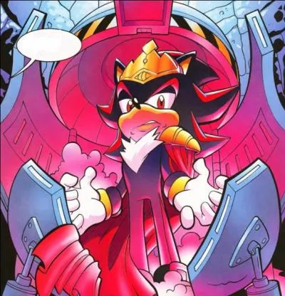 Pourquoi l'a-t-on nomm Shadow ?