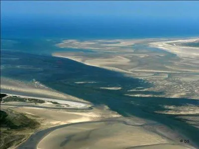 La Somme est un fleuve qui donne son nom  un dpartement mais ce mot peut prendre des sens divers. Chercher l'intrus.