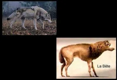 Entre 1764 et 1767, une srie de meurtres se passent dans la rgion actuelle de la Lozre et de ses environs. On se rend compte que c'est un animal qui attaque les gens. On appelle cet animal, la bte du Gvaudan. Mais pourquoi tous ces morts ?