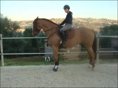 Comment fait-on pour faire arrter son cheval ?