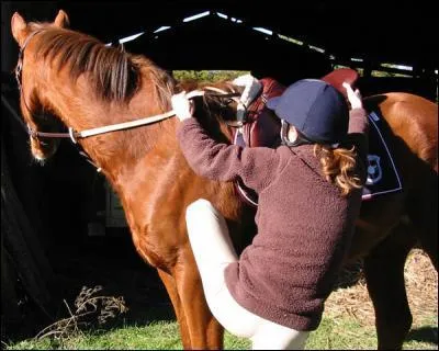 De quel cot monte-t-on  cheval ?