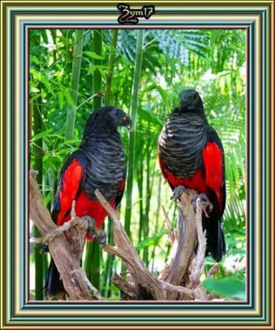 Quelle taille fait-il environ ?