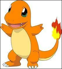 Quel est le nom de ce Pokmon ?