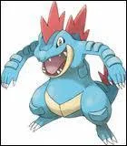 Quel est le nom de ce Pokmon ?