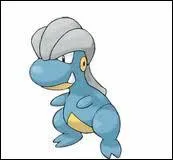 Quel est le nom de ce Pokmon ?