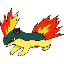 Quel est le nom de ce Pokmon ?
