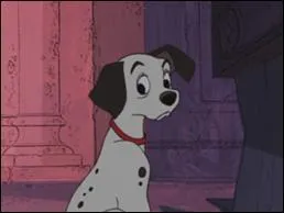 Comment s'appelle le chiot qui se colle  la tlvision, en se dressant sur ses pattes arrires ?