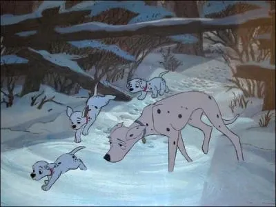 Peu aprs s'tre chapps de la ferme, que suivent les dalmatiens afin de ne pas laisser de traces dans la neige ?