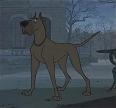  quel clbre chien de dessin anim le Danois ressemble-t-il trangement ?