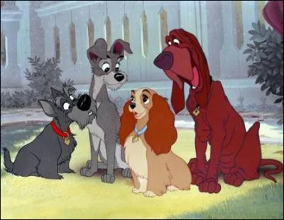 Les chiens de quel long-mtrage Disney aperoit-on dans l'une des scnes du dessin anim ?