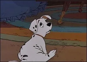 Qu'est-ce que Rolly avalerait s'il le pouvait ?