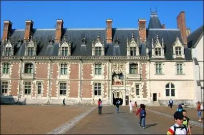 Quel est ce chteau situ dans le dpartement de Loir-et-Cher, sur la rive droite de la Loire ?