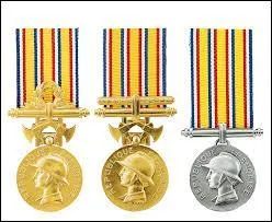 Quel type de mdaille voyez-vous ?