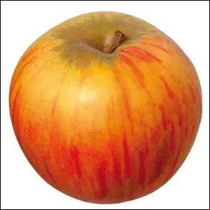 Les amateurs de fruits prendront une pomme :