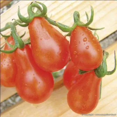 De petits fruits originaux et rafrachissants agrmentent aussi l'apro :