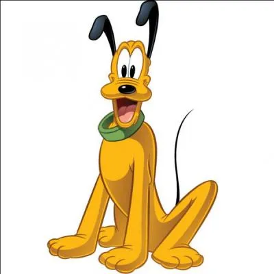 Quel est le nom du chien dans  Mickey  ?