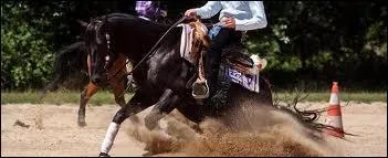 Quel est le nom de cette discipline ?