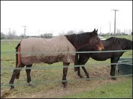 Quel est le nom de ce  logement  ?