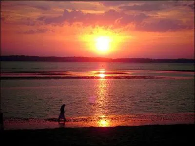  Une aube affaiblie, verse par les champs, la mlancolie des soleils couchants...   De qui est ce trs beau pome intitul  Soleils couchants , extrait du recueil  Pomes saturniens  ?