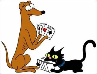 Combien Lisa a-t-elle eu de chat ?