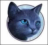 Quelle tribu croise les lus ?