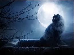 Comment Museau Cendr est-elle morte ?