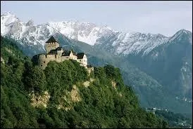 Un de ces pays n'est pas frontalier avec la Principaut du Liechtenstein. Lequel ?
