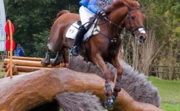 Quiz Galop 1