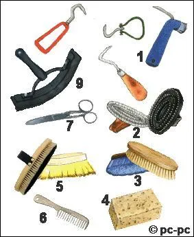 Dans quel ordre passe-t-on les diffrentes brosses ?