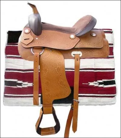 Quel est le nom de cette selle ?