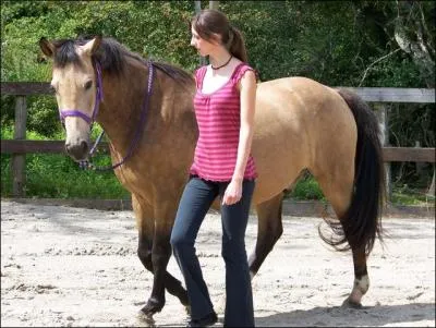 O te places-tu lorsque tu mnes ton cheval  pieds au mange ?