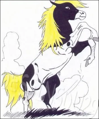 Comment s'appelle ce cheval ?