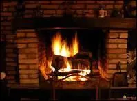 Pour allumer un feu dans une chemine on a besoin de...