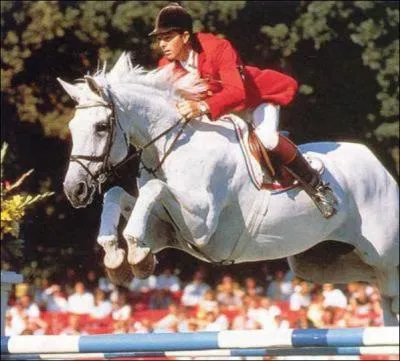 Quel est le nom de ce cheval ?