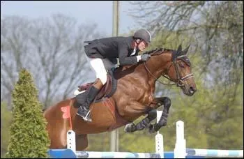 Quel est le nom de ce cheval ?