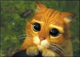 Comment s'appelle le chat que Shrek et l'ne ont adopt ?