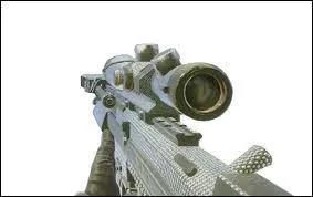 Quelle est cette arme ?