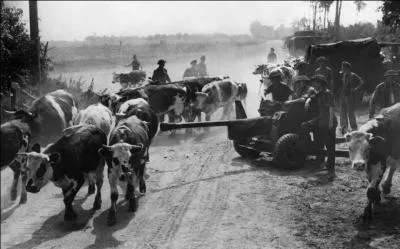 J'irai revoir ma Normandie, c'est le pays qui m'a donné le ...