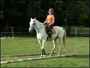 Quelle est cette discipline ?