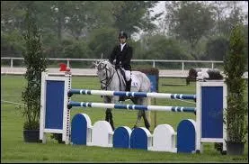 Quelle est la hauteur de cet obstacle ?