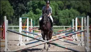 Comment s'appellent des obstacles rapprochs ?