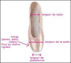Comment appelle-t-on cette chaussure spciale pour la danse classique ?