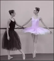 Le tutu noir de cette photo est un ou une ...