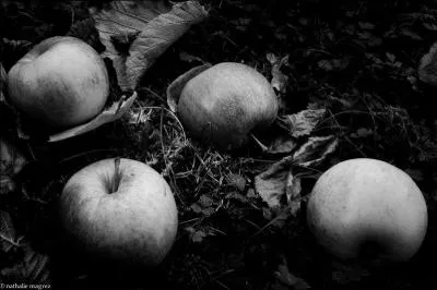 On cherche le nom d'une pomme :