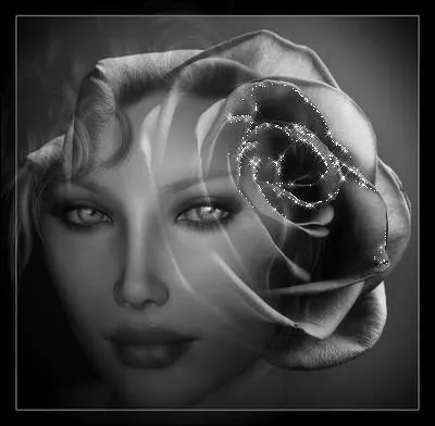 Qui chantait   Elle est tellement si belle, je l'aime tellement si fort  ?